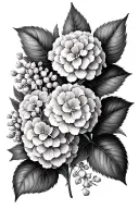 hydrangea and wattle flowers tattoo design idea