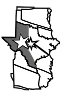 "Texas " armadillo texas flag tattoo design idea