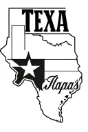 "Texas " armadillo texas flag tattoo design idea