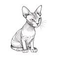 a sphynx cat tattoo design idea