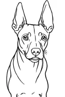 pinscher dog tattoo design idea