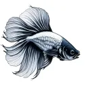 betta fish tattoo design idea
