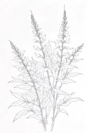 one branch of fireweed plant with blooms for the inner side of my arm. tattoo design idea