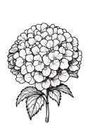 one hydrangea flower tattoo design idea