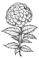 one hydrangea flower tattoo design idea