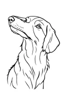 Cocker Spaniel dog tattoo design idea