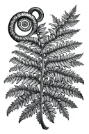 fiddlehead fern curl tattoo design idea