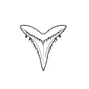 shark tooth tattoo design idea