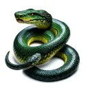 Hyper-Realistic (3D): Ouroboros snake is rendered with realistic scales tattoo design idea