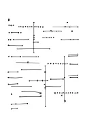 morse code tattoo design idea