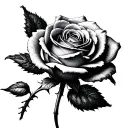 single small rose, elegant and delicate, beautiful, love, principito, petit prince, exclusivity, flower only no leaf sib tattoo design idea