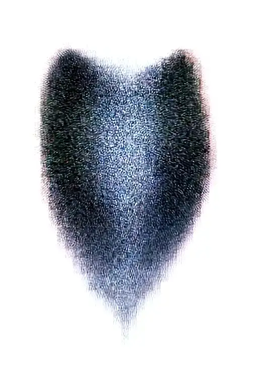 A Celtic wolf and Celtic dara knot raven tattoo design idea