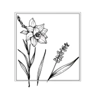 make a tatoo design for me daffodils and larkspur (Delphinium)  small waist for hand  tattoo design idea