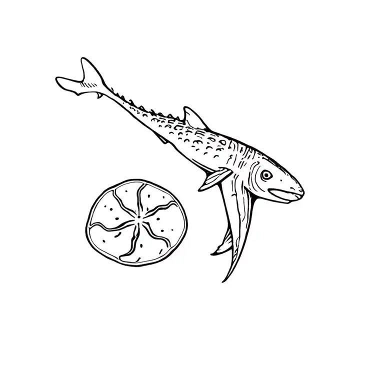 whale shark conch shell and sand dollar tattoo design idea