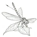 dragon-fly tattoo design idea