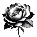 Can you generate this tattoo design for a girl using this description?—Tattooed there was a gray and black peony with tattoo design idea