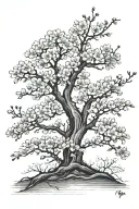 cherry blossom tree tattoo design idea