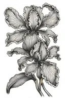 song iris tattoo design idea