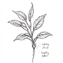 'ashley' 10.7.23 bean sprouting tattoo design idea