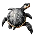 Shellback Turtle tattoo design idea