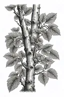 Aspen Tree tattoo design idea