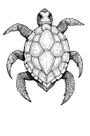 gothic turtle tattoo design idea