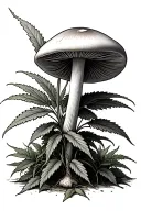 shrooms growing under a large weed plant tattoo design idea