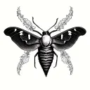 I am looking for a deaths head hawk moth in black and white tattoo design idea