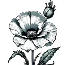 American Trad California poppy flower tattoo design idea