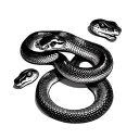Hognose Snake and ball python tattoo design idea