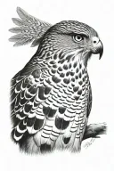 northern goshawk tattoo design idea