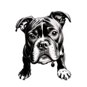 the Word JUICE WRLD with a MINATURE PITBULL  tattoo design idea