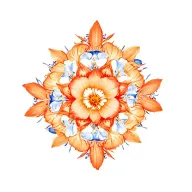 orange and blue floral mandala design   incorporating orchids tattoo design idea