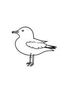 gull tattoo design idea