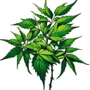 hemp vine wrapping tattoo design idea