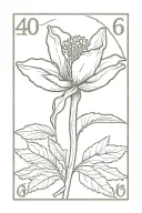 stamp with a bitterroot flower inside that says 406 tattoo design idea