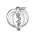 pomegranate with DNA helix's inside gothic tattoo design idea