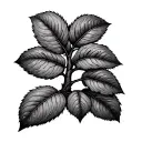Walnut tree in line style tattoo tattoo design idea
