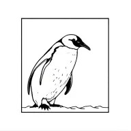 penguin, Antarctica, tattoo design idea