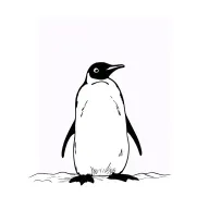 penguin, Antarctica, tattoo design idea