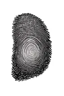fingerprint mixed tattoo design idea