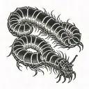 centipede short long tattoo tattoo design idea