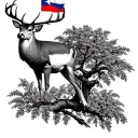 Northern Red Oak tree, Cuban flag, Azorean Flag, Oriole, White tail deer, Pacific Rhododendron tattoo design idea