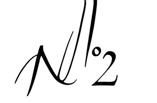 "N2;
" tattoo design idea