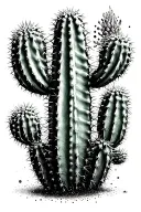cactus tattoo design idea