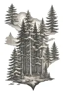forest with redwood ponderosa pine Douglas fir and cedar tree tattoo design idea