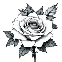 edelweiss flower and white rose intertwined tattoo design idea