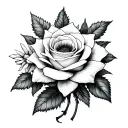 edelweiss flower and white rose intertwined tattoo design idea