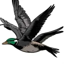 mighty ducks flying tattoo design idea