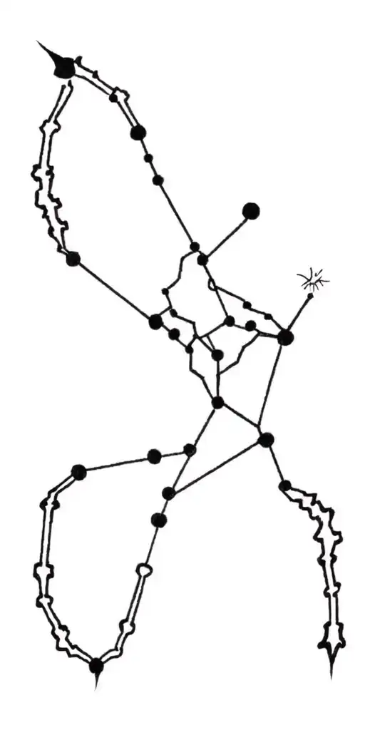 Scorpio and Leo constellation tattoo design idea